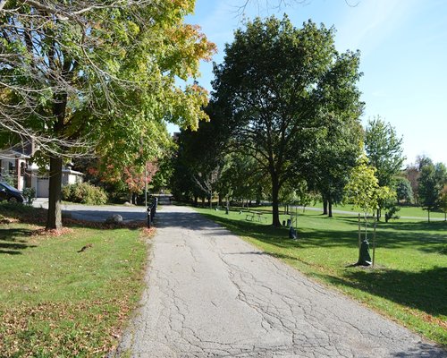A relaxing walk in a local urban park during autumn